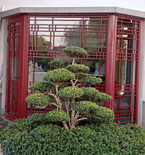 酒店红色铝合金仿古门窗.jpg