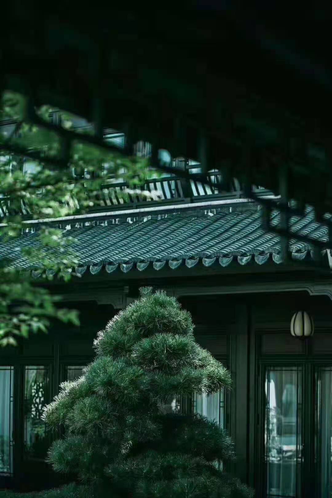 中式园林仿古门窗.jpg